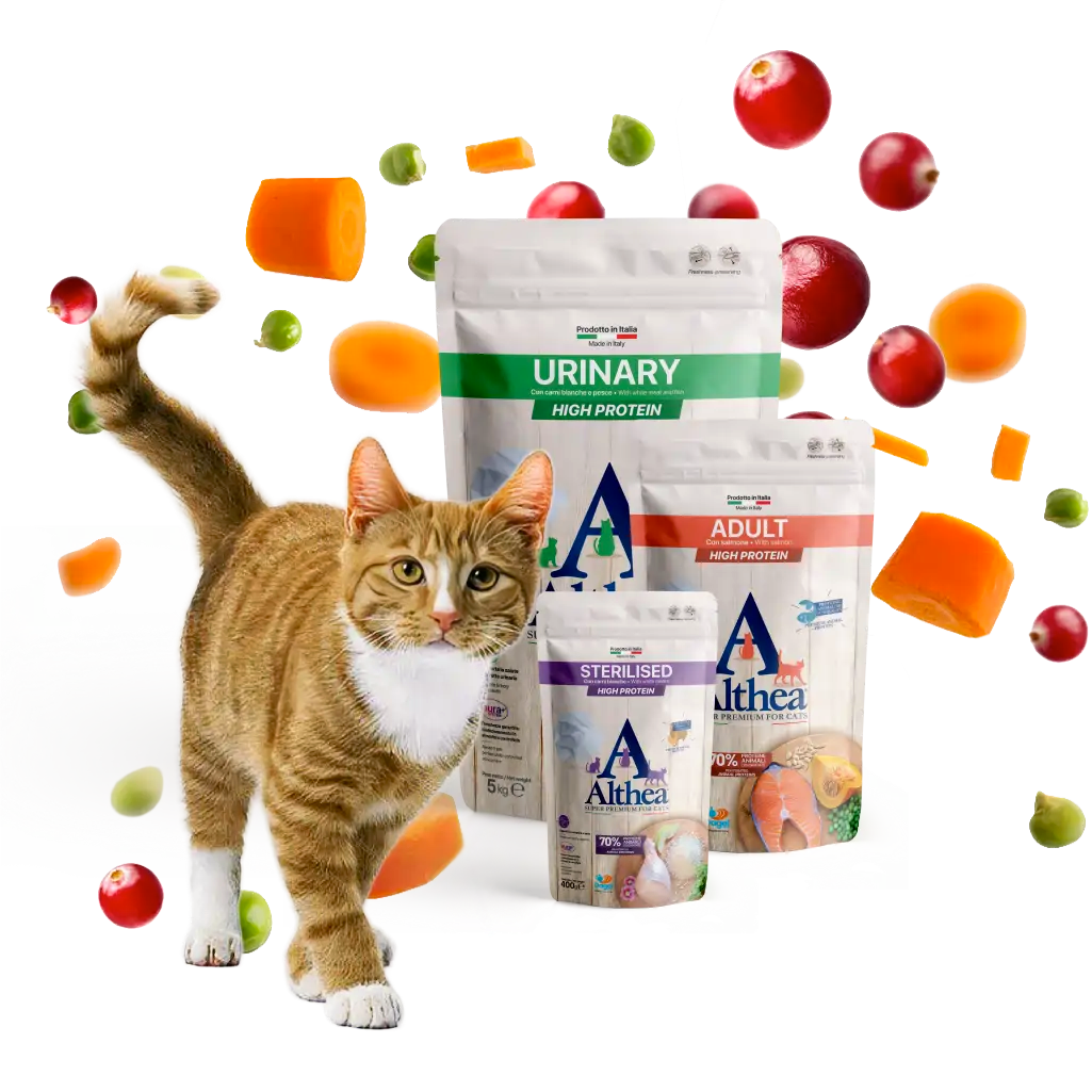 dagel-mangimi-althea-urinary-stererilised-adult-migliore-per-gatti-puglia